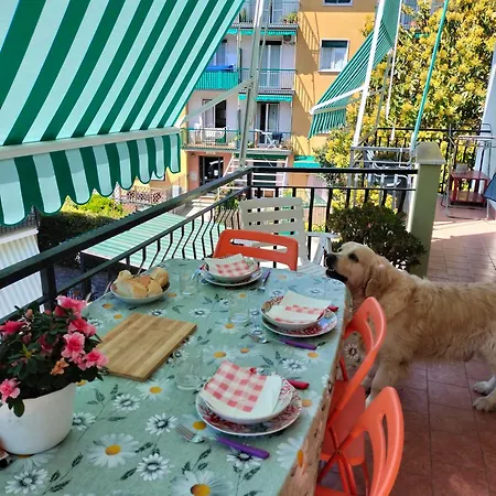Apartment Yellow Submarine Freeparking Petfriendly