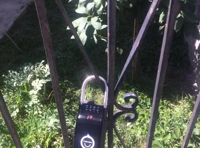 Yellow Submarine Freeparking Petfriendly 라팔로